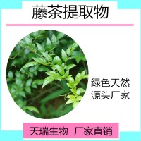 藤茶提取物 藤茶粉天瑞生物現貨