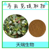 食品級原料馬齒莧提取物馬齒莧皂甙噴霧干燥全水溶燥全水溶