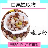 白果提取物白果多糖銀杏果提取物多種規(guī)格