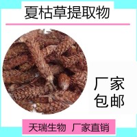 食品級原料夏枯草提取物夏枯草浸膏粉噴霧干燥全水溶