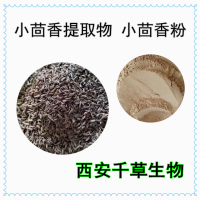 小茴香提取物小茴香濃縮粉 供應提取物定做茴香子濃縮浸膏