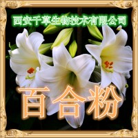 百合浸膏粉 供應植物提取物定做野百合濃縮流浸膏