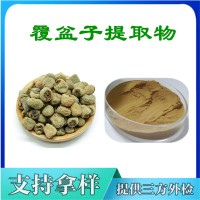 覆盆子提取物  覆盆子粉
