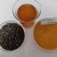 綠茶提取物 茶多酚95%