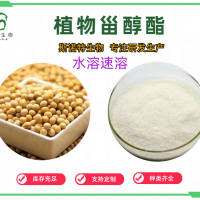 植物甾醇酯 全水溶 精細(xì)粉末 SC廠(chǎng)家斯諾特
