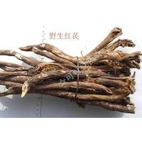 紅芪提取物