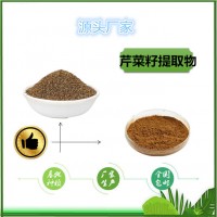 芹菜籽提取物源頭廠家芹菜籽粉 芹菜籽浸膏