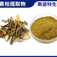 黃柏提取物黃連素 植提廠家供應黃柏粉