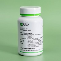 BCYE 瓊脂基礎GF1135
