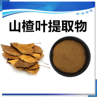 山楂葉提取物 水溶性山楂葉濃縮速溶粉 斯諾特生物供應(yīng)