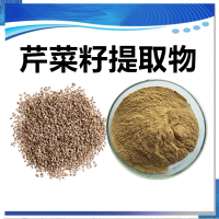 芹菜籽提取物 水溶性芹菜籽濃縮速溶粉 斯諾特生物供應