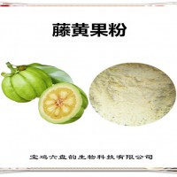 藤黃果速溶粉 藤黃果粉 廠家發貨