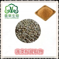 菠菜籽提取物 菠菜籽粉 菠菜籽提取液 濃縮粉30:1香草廠家