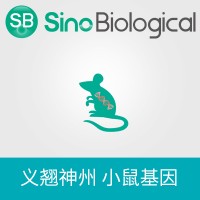 小鼠 CD47 表達質粒,C-GFPSpark