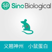 重組小鼠 AGER / RAGE 蛋白 (His標簽)