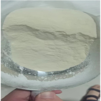 食品級酪蛋白廠家