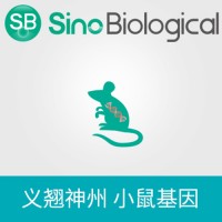 小鼠 p53/TP53/TRP53 表達質粒