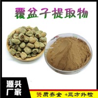 覆盆子提取物 食品原料 覆盆子粉