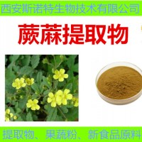 保健原料 蕨?提取物 蕨?粉 實力廠家 新貨包郵