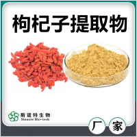 枸杞子提取物 枸杞子粉 水溶性好無沉淀 斯諾特生物