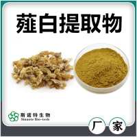 薤白提取物 薤白速溶粉 水溶性好無沉淀 斯諾特生物
