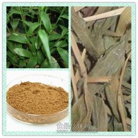 淡竹葉提取物粉 淡竹葉浸膏 竹葉黃酮