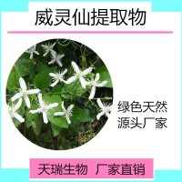 威靈仙提取物10:1比例提取天瑞生物25公斤/紙板桶批發(fā)