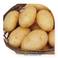 土豆粉 土豆噴霧干燥粉飲料食品添加劑