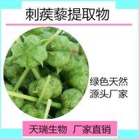 刺蒺藜提取物10:1比例提取刺蒺藜皂甙天瑞生物包郵