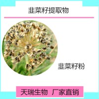韭菜籽提取物 韭菜籽粉廠家現貨包郵