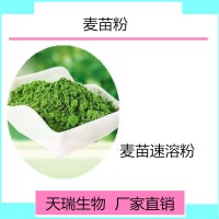 麥苗粉 大麥苗粉天瑞生物 現(xiàn)貨25公斤/紙板桶