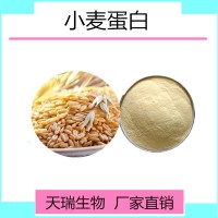 小麥蛋白90% 小麥低聚肽天瑞生物包郵