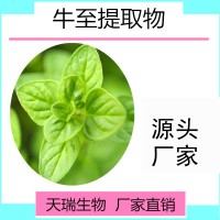 天瑞生物供應牛至提取物 牛至粉廠家規格可定制