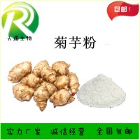 菊粉 菊芋粉食品級原料 天瑞廠家現貨