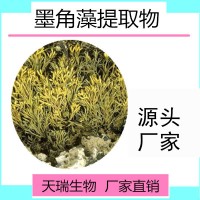 天瑞生物現(xiàn)貨供應(yīng)墨角藻提取物 墨角藻粉