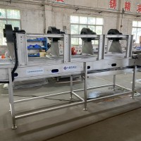 蔬菜果蔬清洗流水線 漂燙冷卻線廠家 九盈機械供應
