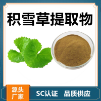 積雪草提取物 水溶性積雪草濃縮速溶粉 斯諾特生物供應