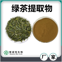 綠茶提取物 斯諾特生物自產自銷綠茶兒茶素綠茶粉