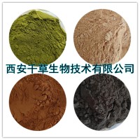 山姜提取物山姜濃縮粉山姜浸膏粉供應水溶性提取物