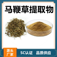 馬鞭草提取物 水溶性馬鞭草濃縮速溶粉 斯諾特生物供應