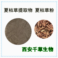 夏枯草提取物 供應植物提取物定做棒槌草濃縮浸膏