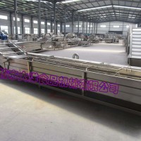 經濟實惠冬棗清洗設備 大洋機械出品連續式氣浪式清洗機