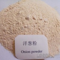 洋蔥粉 洋蔥噴霧干燥粉 洋蔥速溶粉