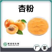 杏粉 噴霧干燥杏速溶粉 速溶粉濃縮汁 廠家供應