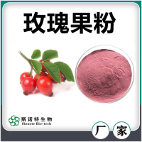 玫瑰果粉 噴霧干燥玫瑰果速溶粉 速溶粉濃縮汁 廠家供應(yīng)