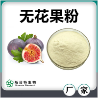 無花果粉 噴霧干燥無花果速溶粉 速溶粉濃縮汁 廠家供應