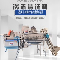 全自動渦流清洗流水線 渦流式蔬菜清洗震動一體設備