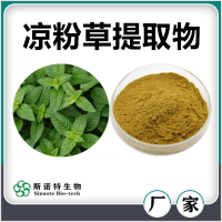 涼粉草提取物 噴霧干燥涼粉草速溶粉 濃縮萃取