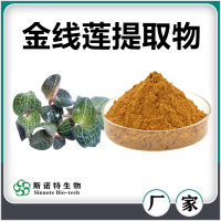 金線蓮提取物 噴霧干燥金線蓮速溶粉 濃縮萃取 廠家供應