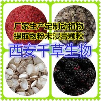 水溶性蓽澄茄提取物蓽澄茄浸膏粉 供應(yīng)多規(guī)格蓽澄茄濃縮原液